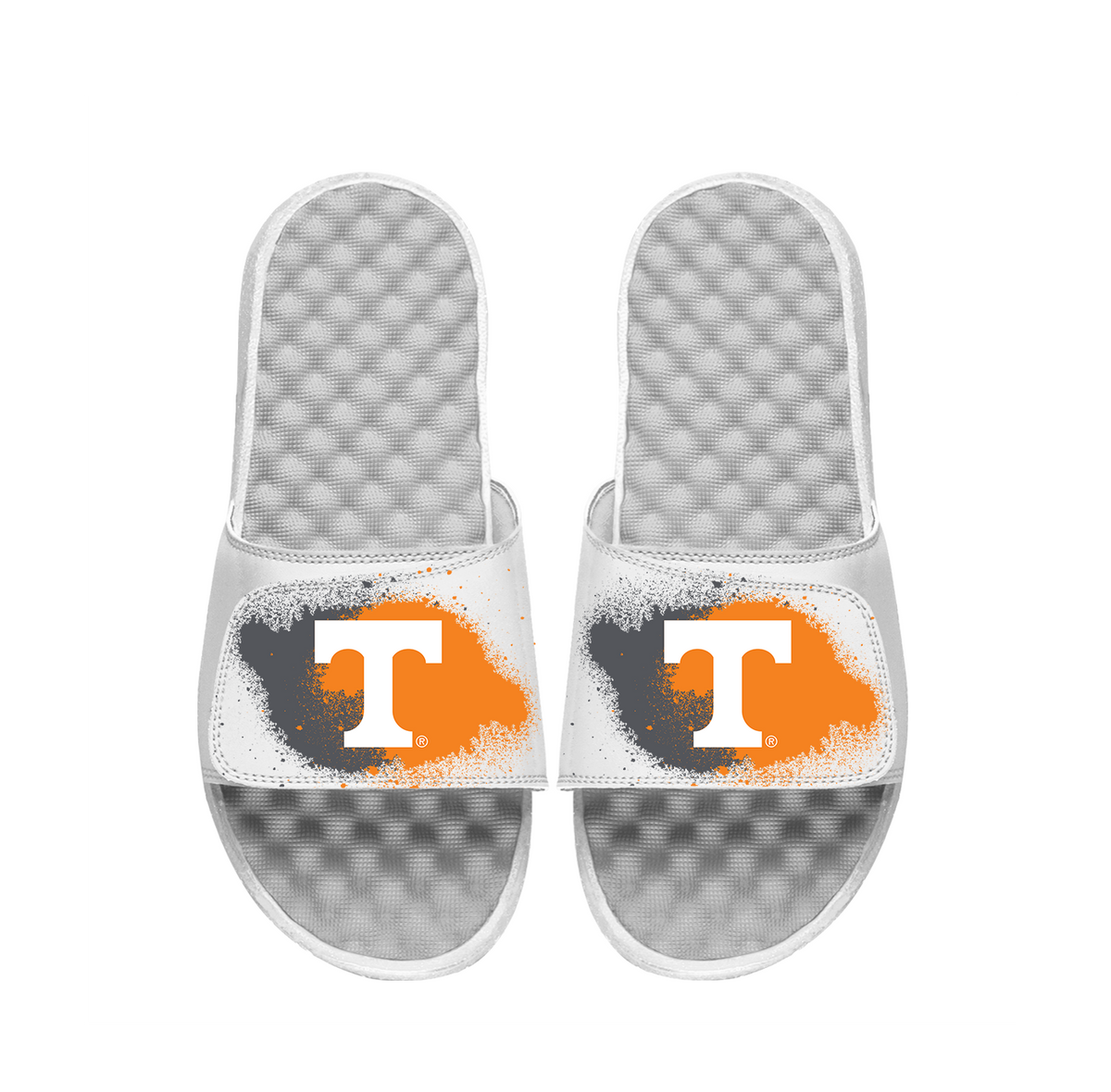 Tennessee Spray Paint Slides