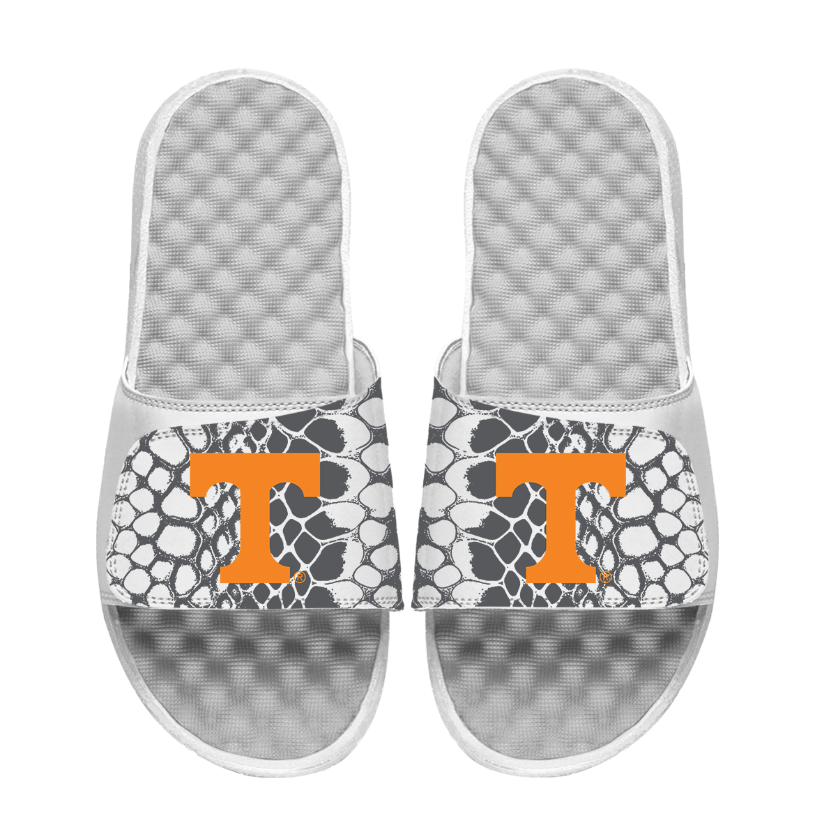 Tennessee Volunteers Year of the Snake