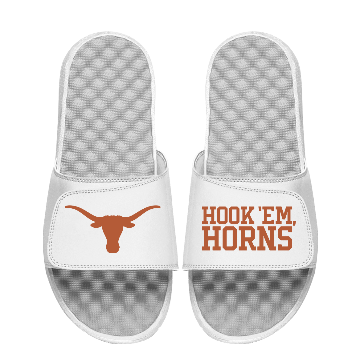 Texas Longhorns Hook Em