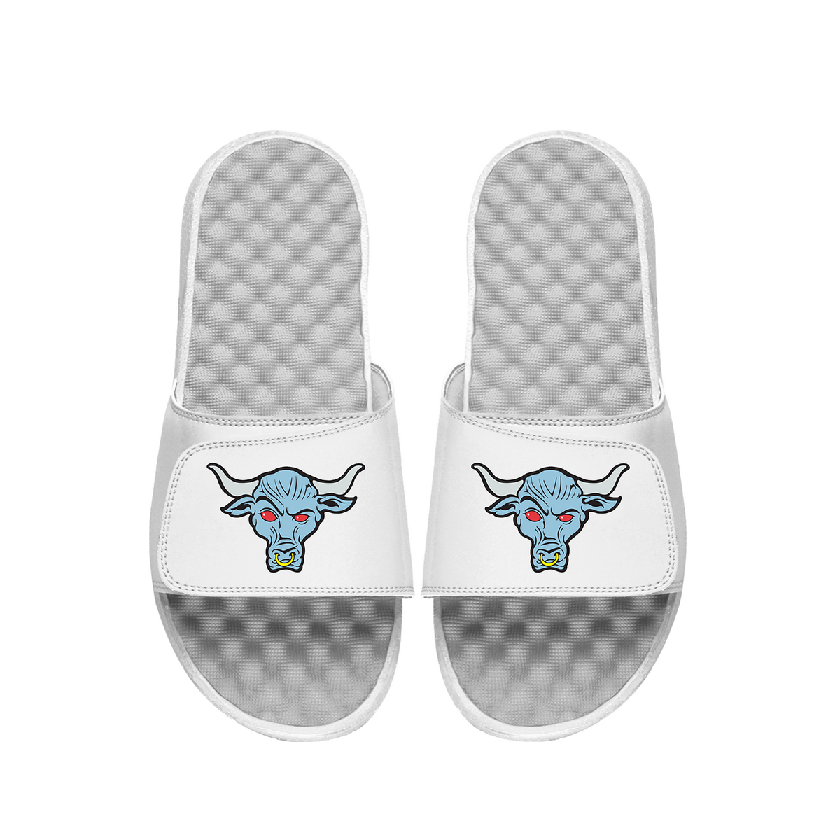 The Rock Bull Slides