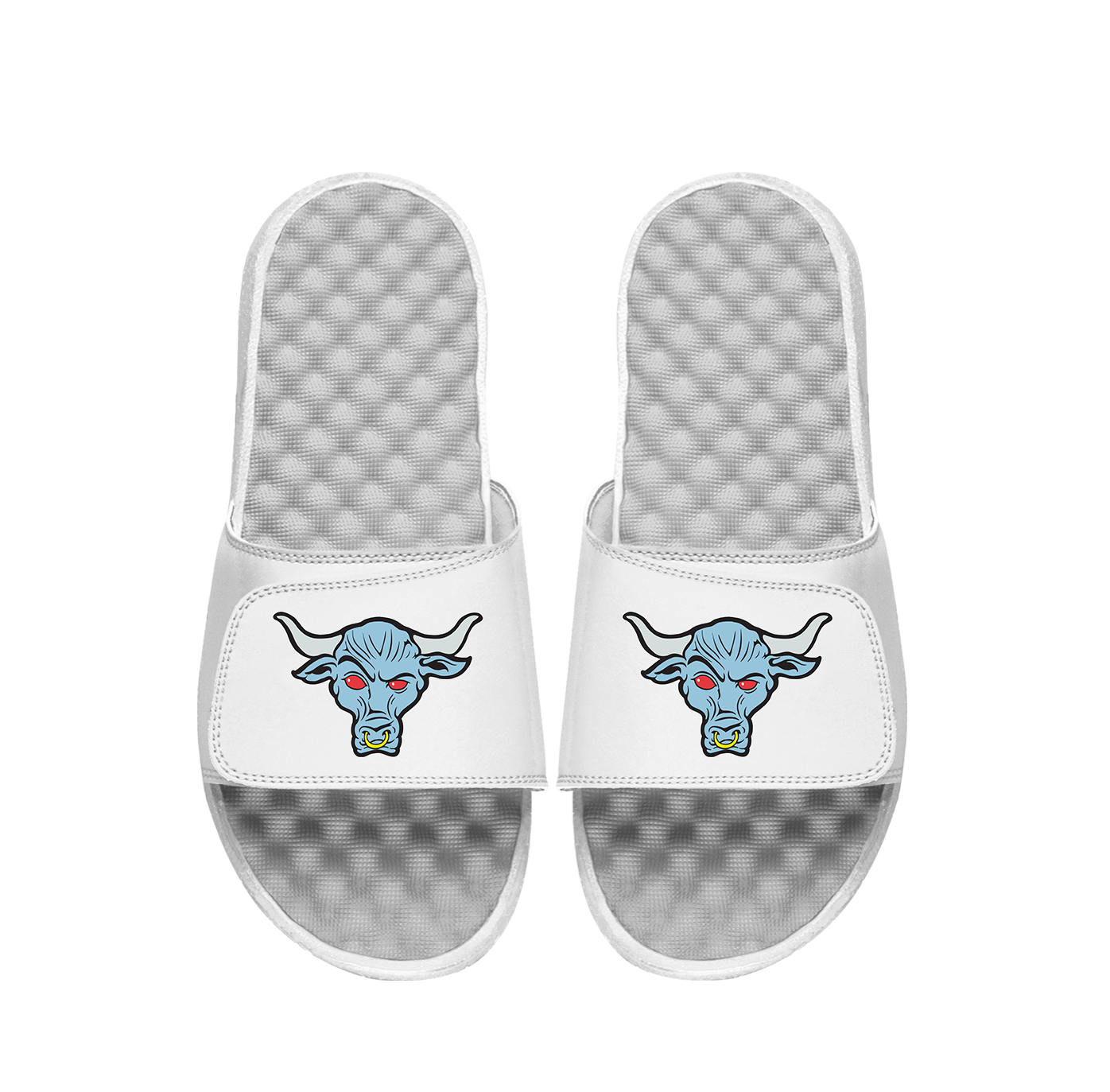 The Rock Bull Slides