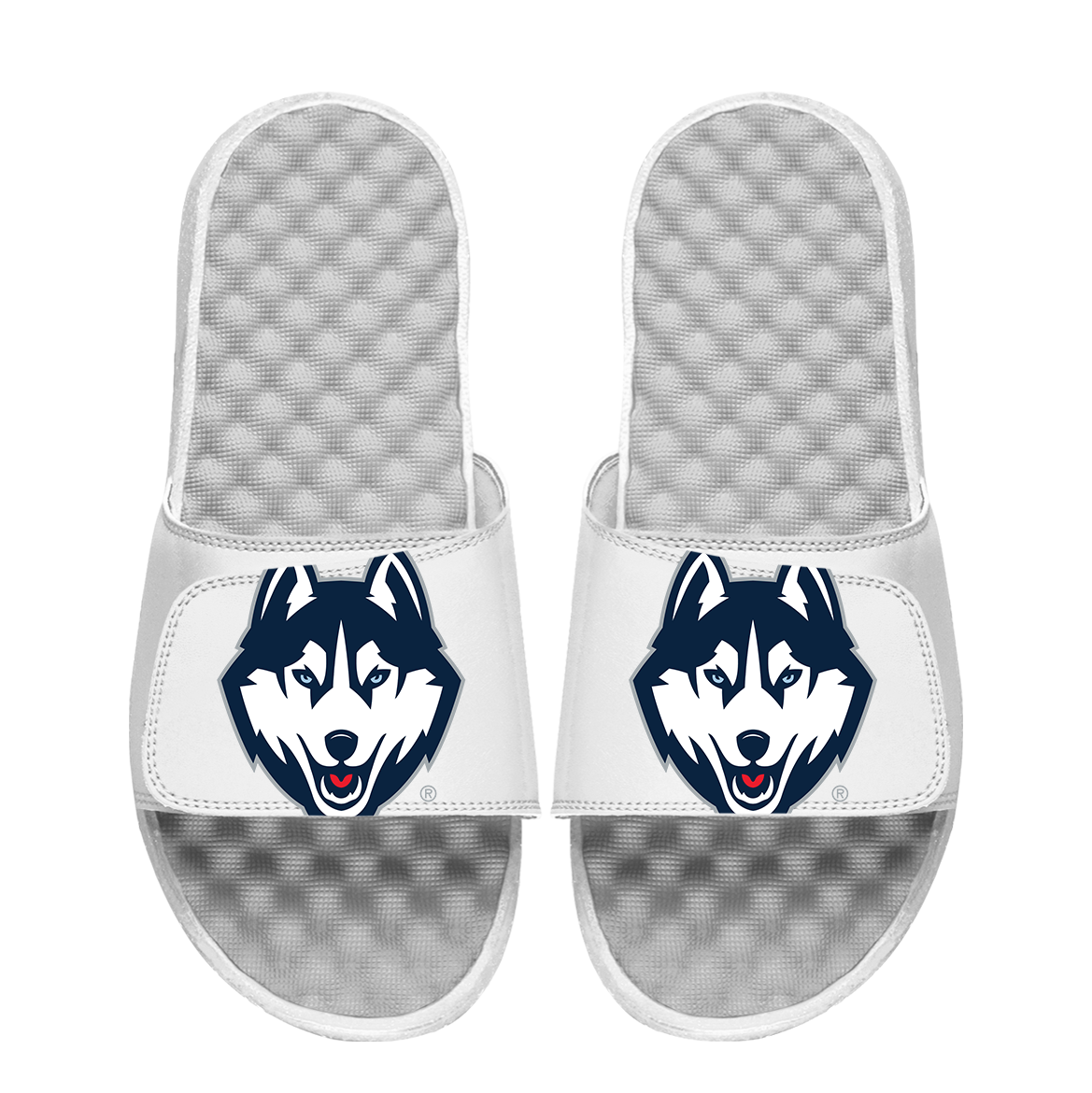 UConn Huskies Oversized Logo