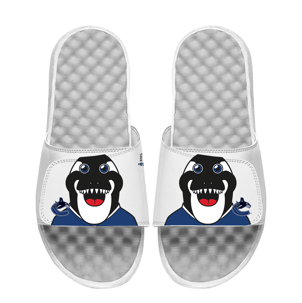 Vancouver Canucks Mascot