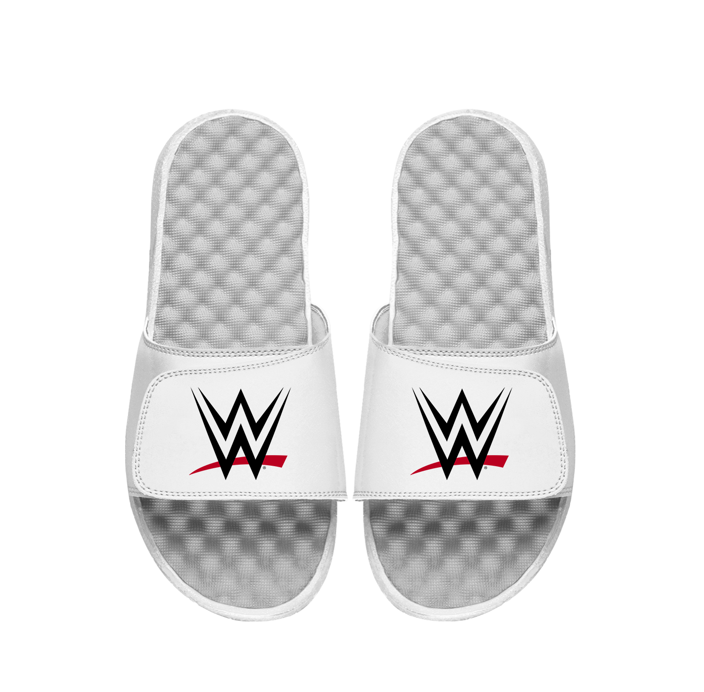 WWE Primary Logo Slides