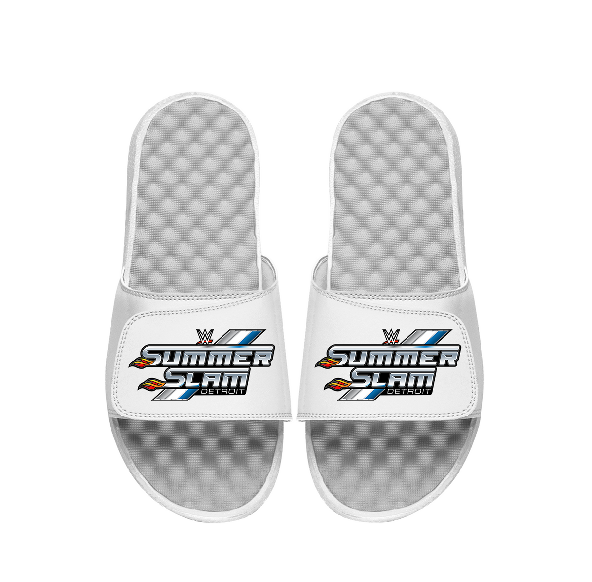 WWE Summer Slam Slides