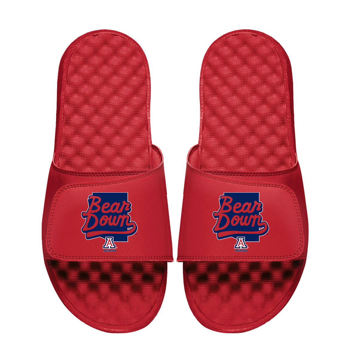Arizona Wildcats Bear Down