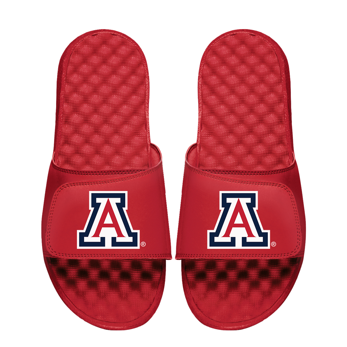 Arizona Wildcats Primary Logo