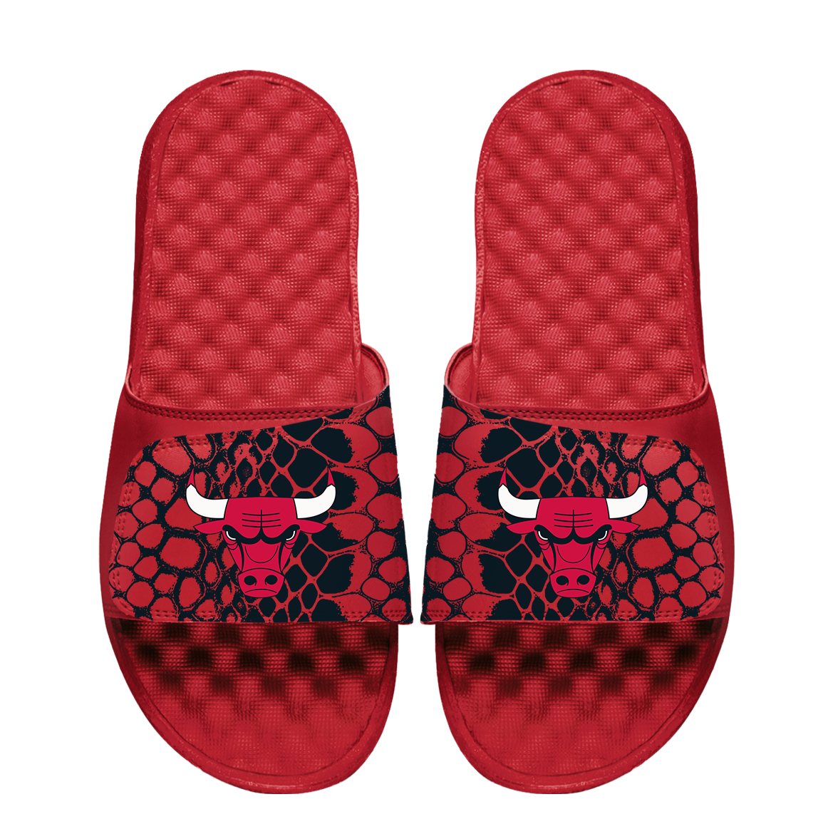 Chicago Bulls Year of the Snake