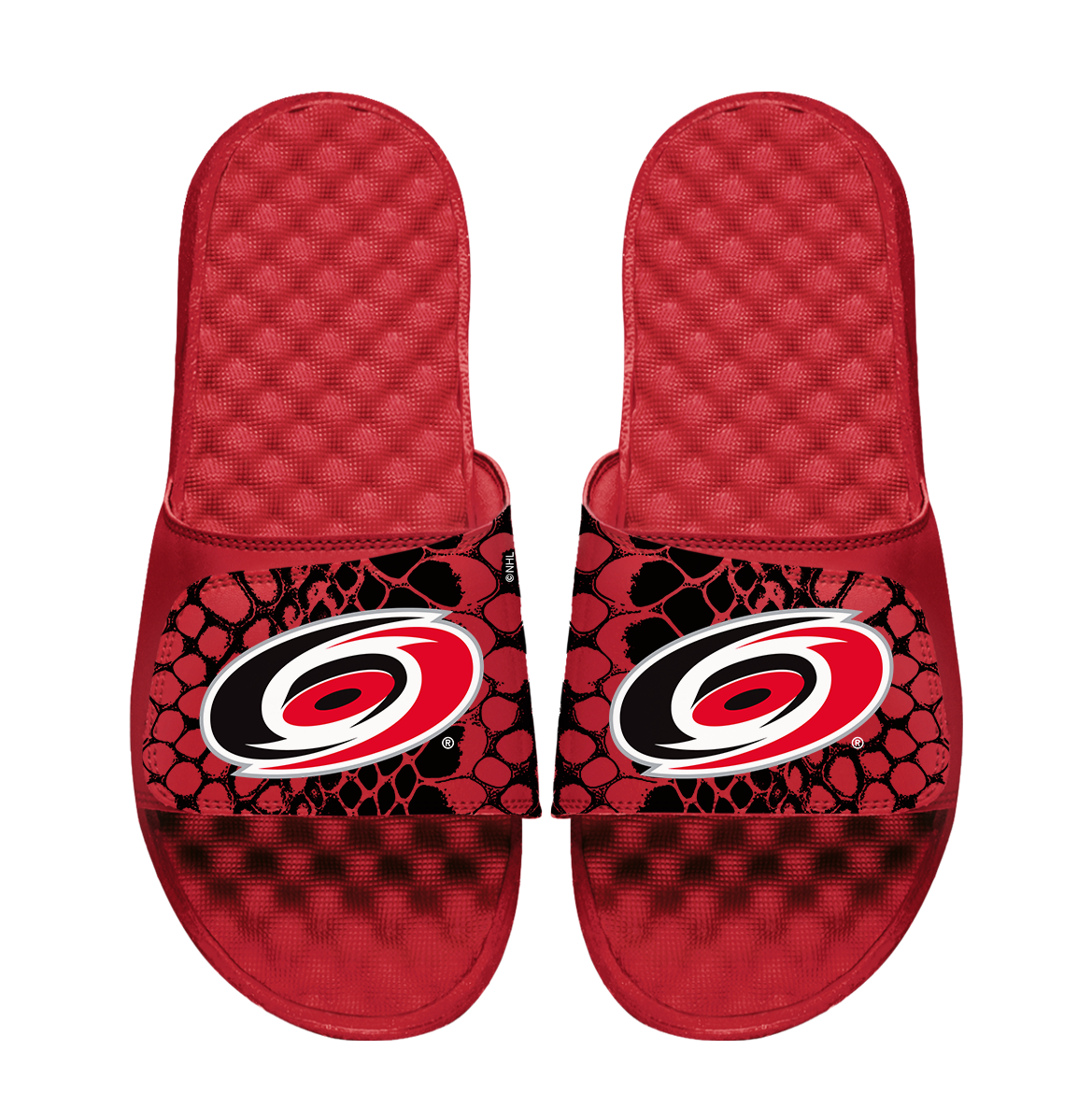 Hurricanes Year of the Snake