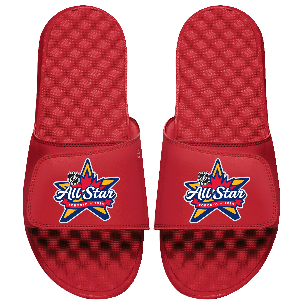 NHL 2024 All-Star Game Logo