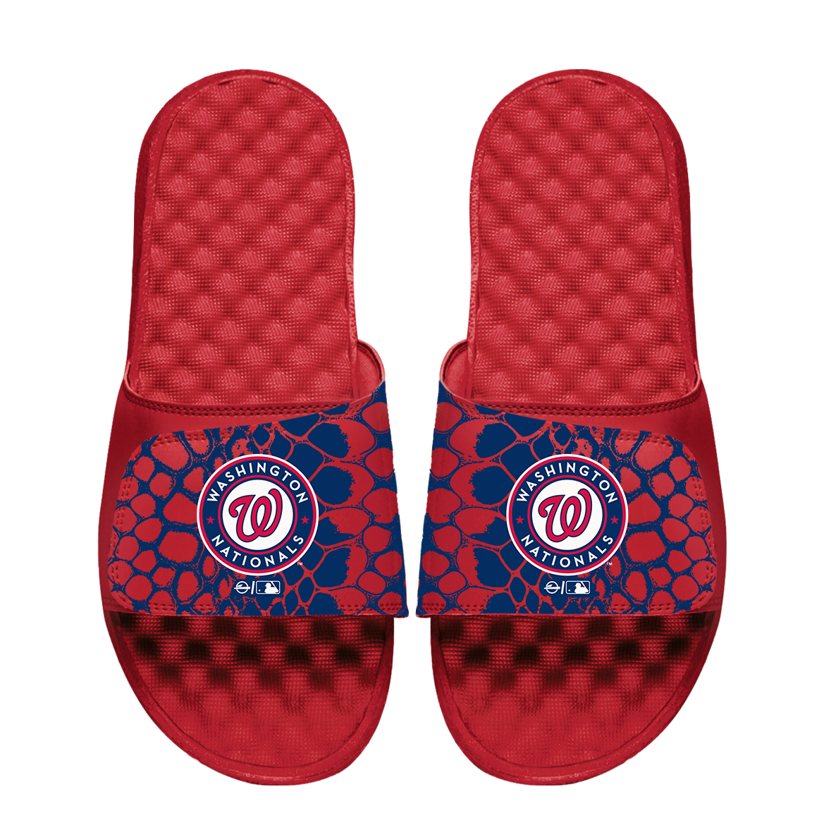 Washington Nationals Year of the Snake