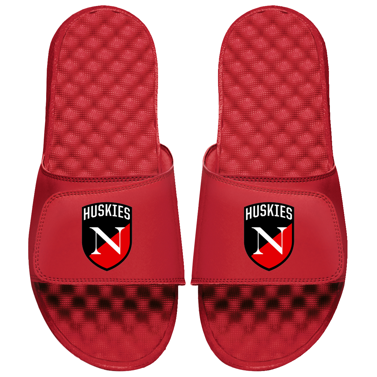 Northeastern Huskies Primary