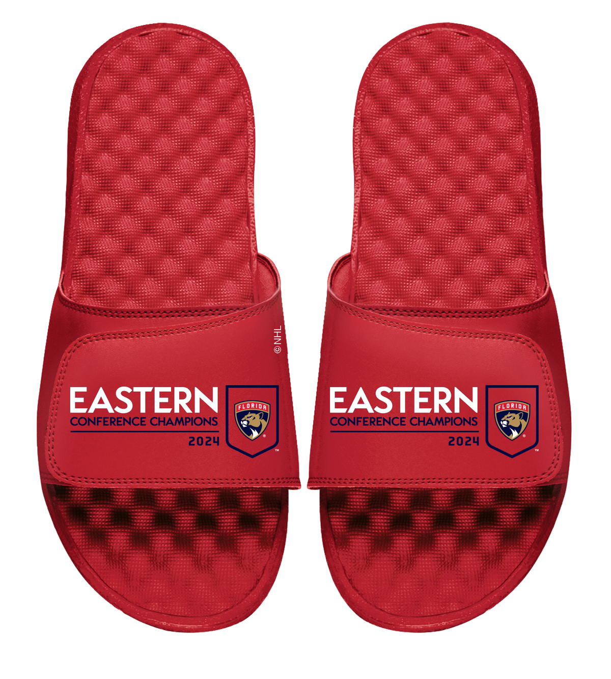 Florida Panthers 2024 Eastern Conference Champions