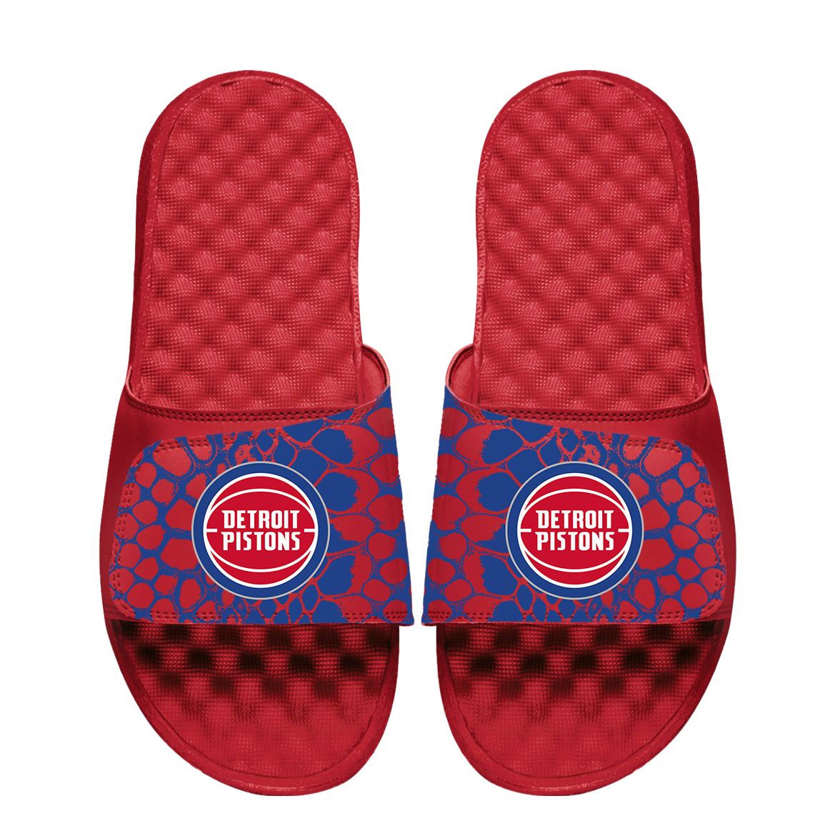 Detroit Pistons Year of the Snake