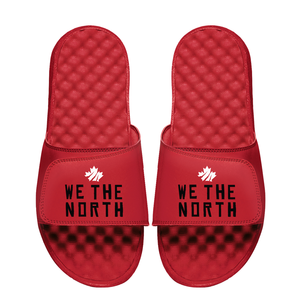Toronto Raptors 2026 Playoff Mantra