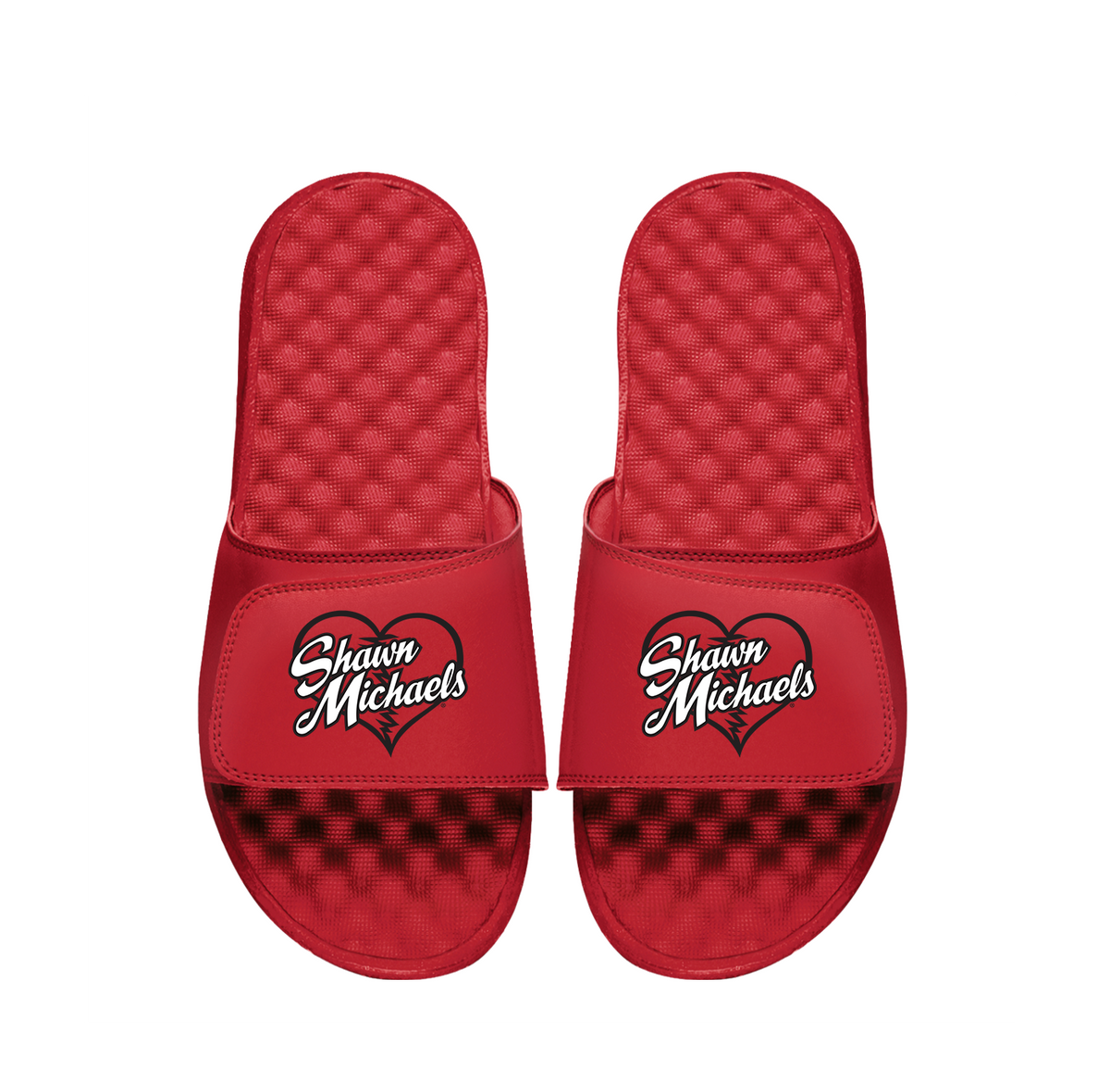 Shawn Michaels Heartbreak Slides