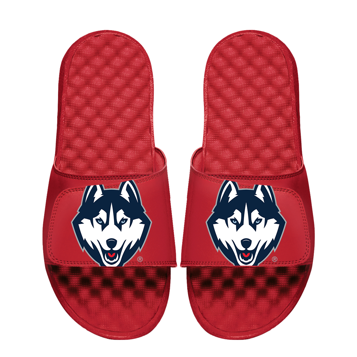 UConn Huskies Oversized Logo