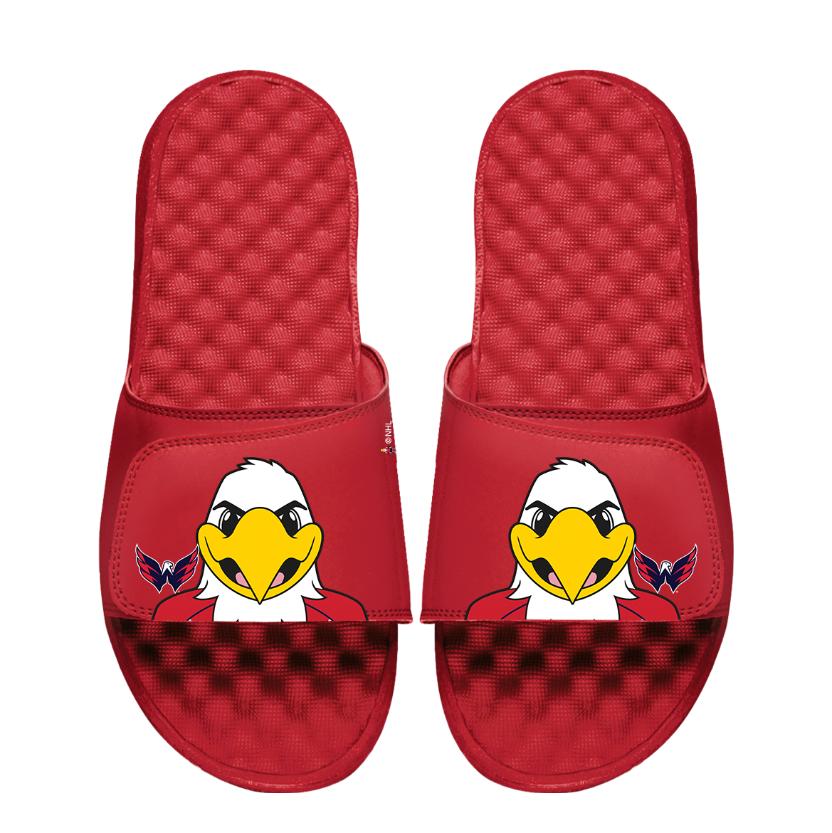 Washington Capitals Mascot