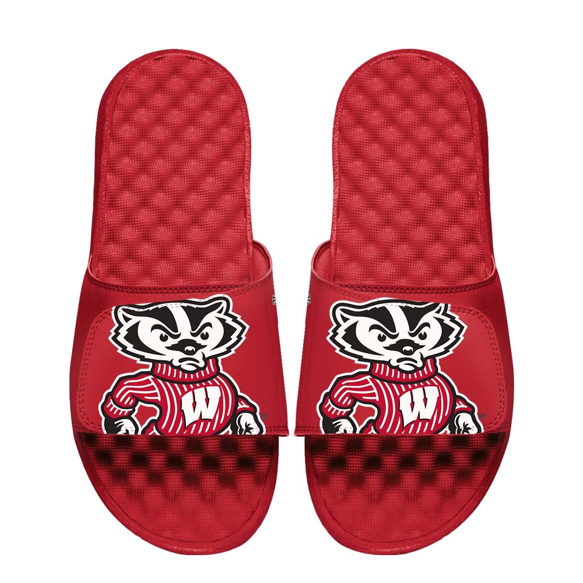 Wisconsin Badgers Mascot