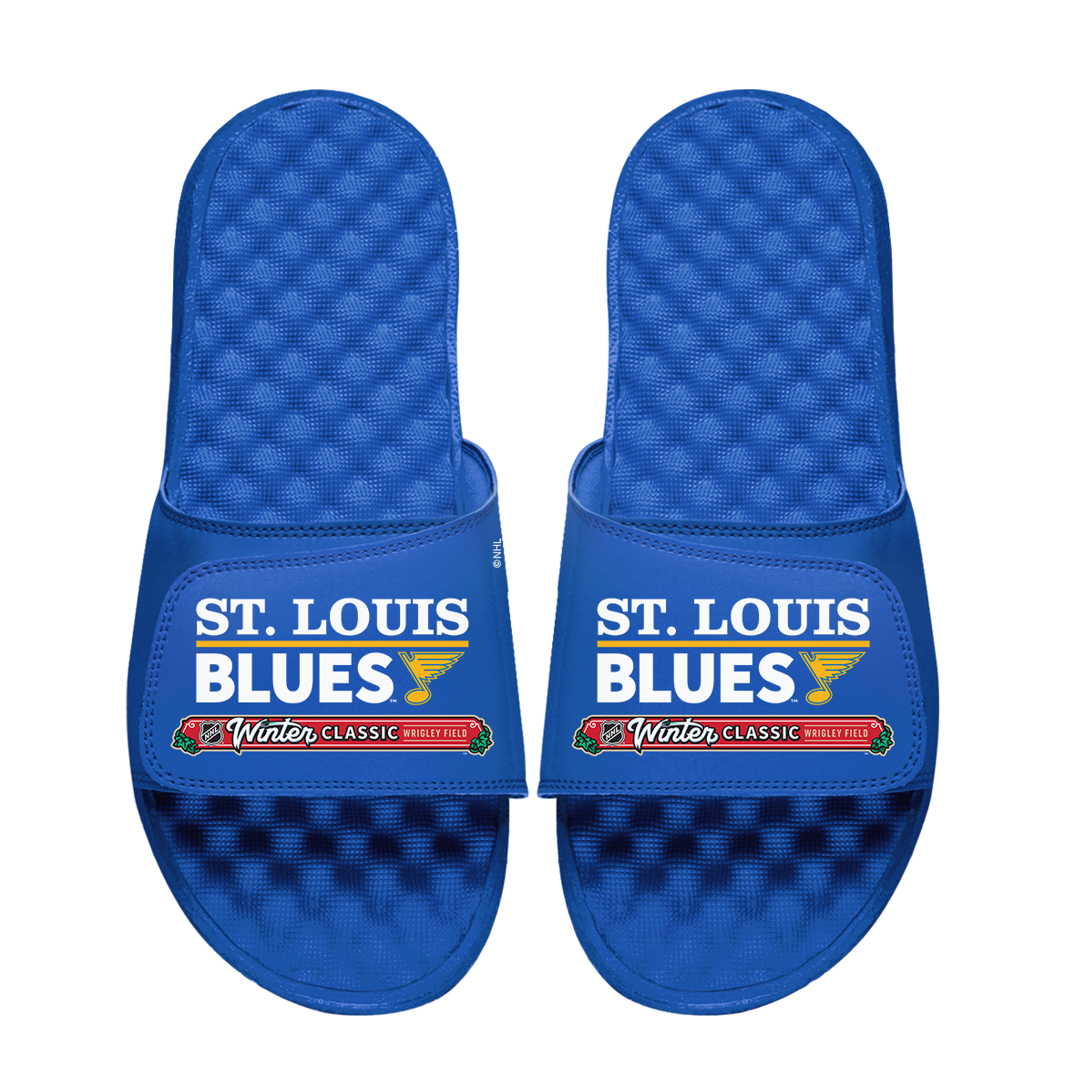 St. Louis Blues 2025 Winter Classic Wordmark