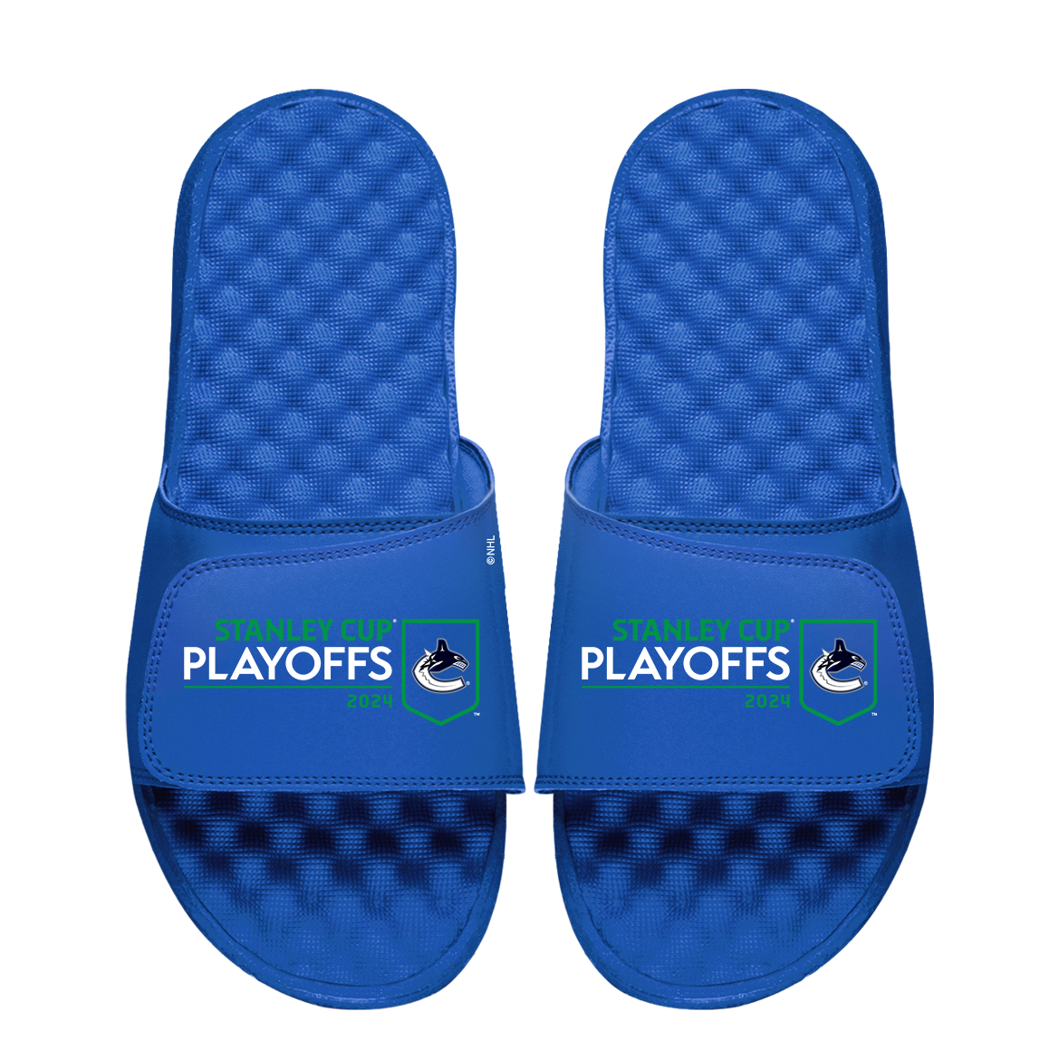 Vancouver Canucks 2024 Stanley Cup Playoffs Logo