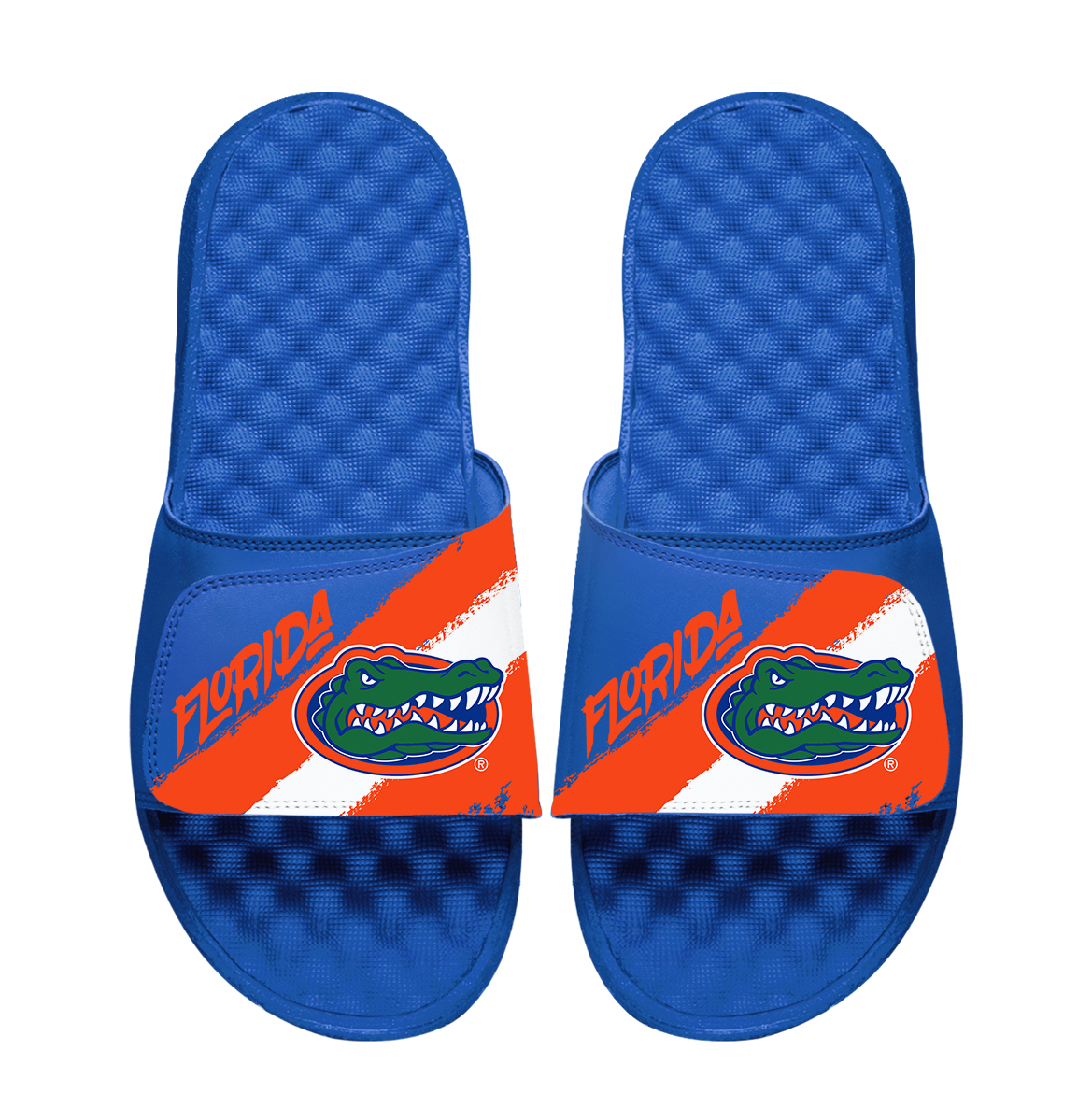 Florida Gators Paint Stripes