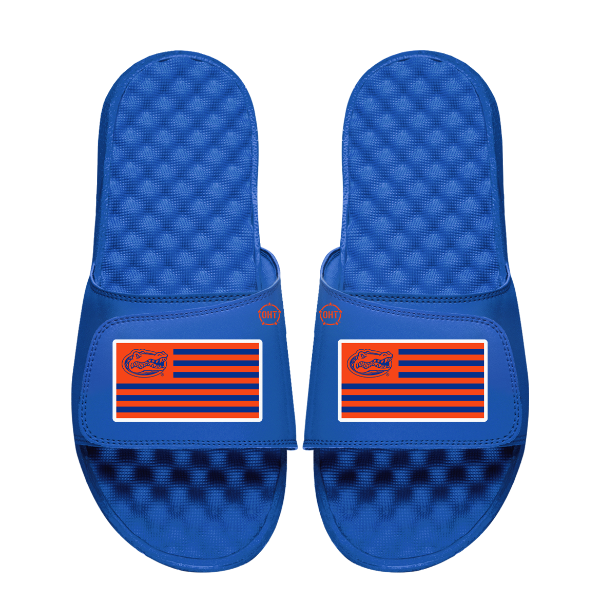 Florida Gators Team Flag ISlide x OHT