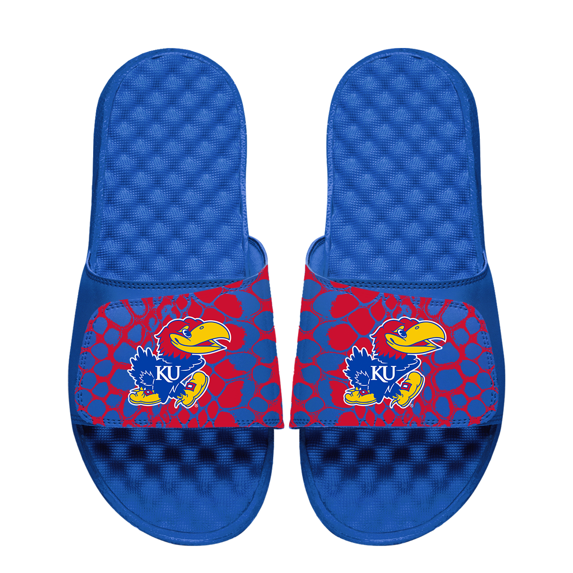 Kansas Jayhawks Year of the Snake