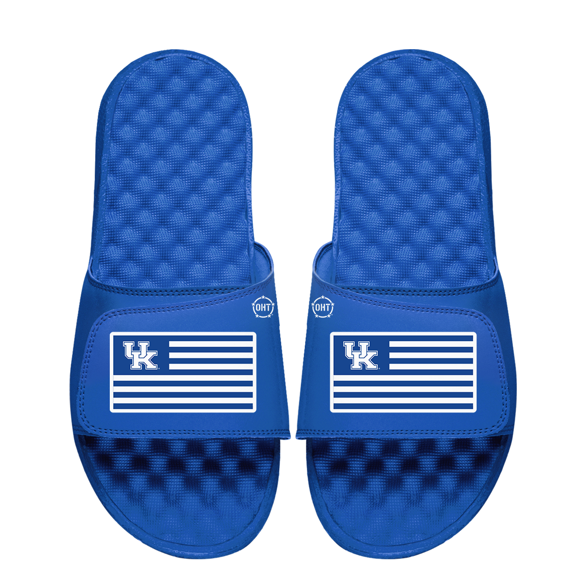Kentucky Wildcats Team Flag ISlide x OHT