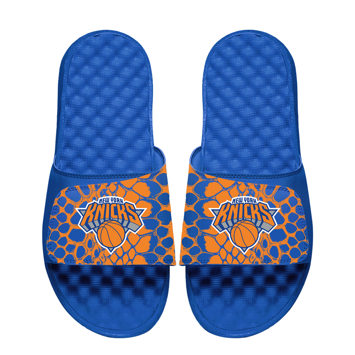 New York Knicks Year of the Snake