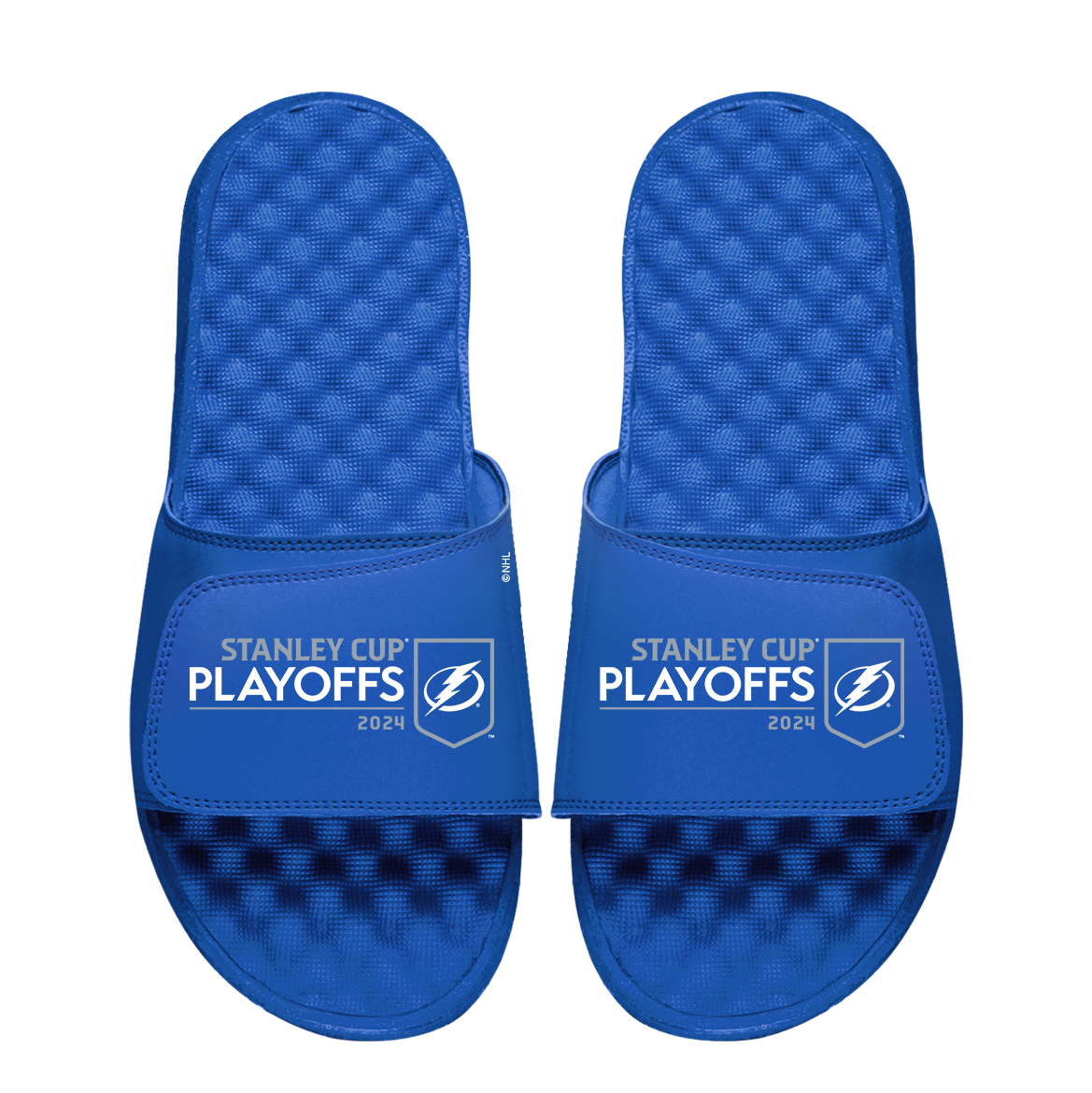 Tampa Bay Lightning 2024 Stanley Cup Playoffs Logo