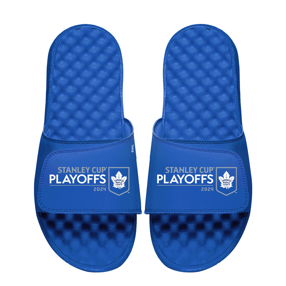 Toronto Maple Leafs 2024 Stanley Cup Playoffs Logo