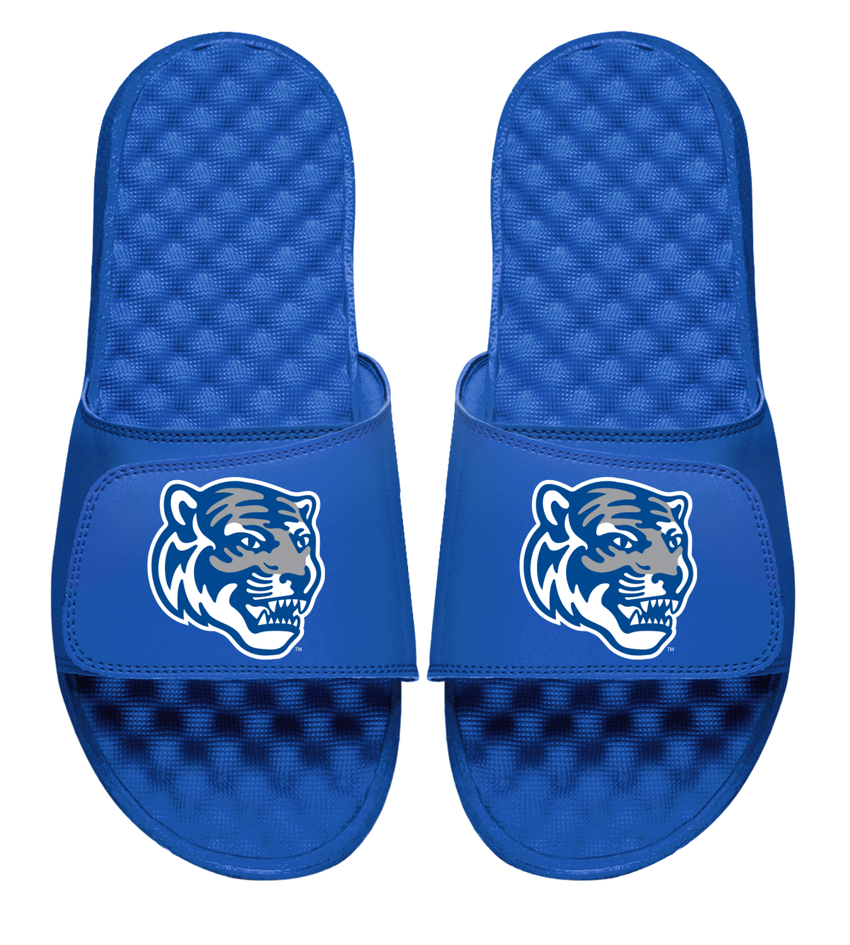 Memphis Tigers Mascot