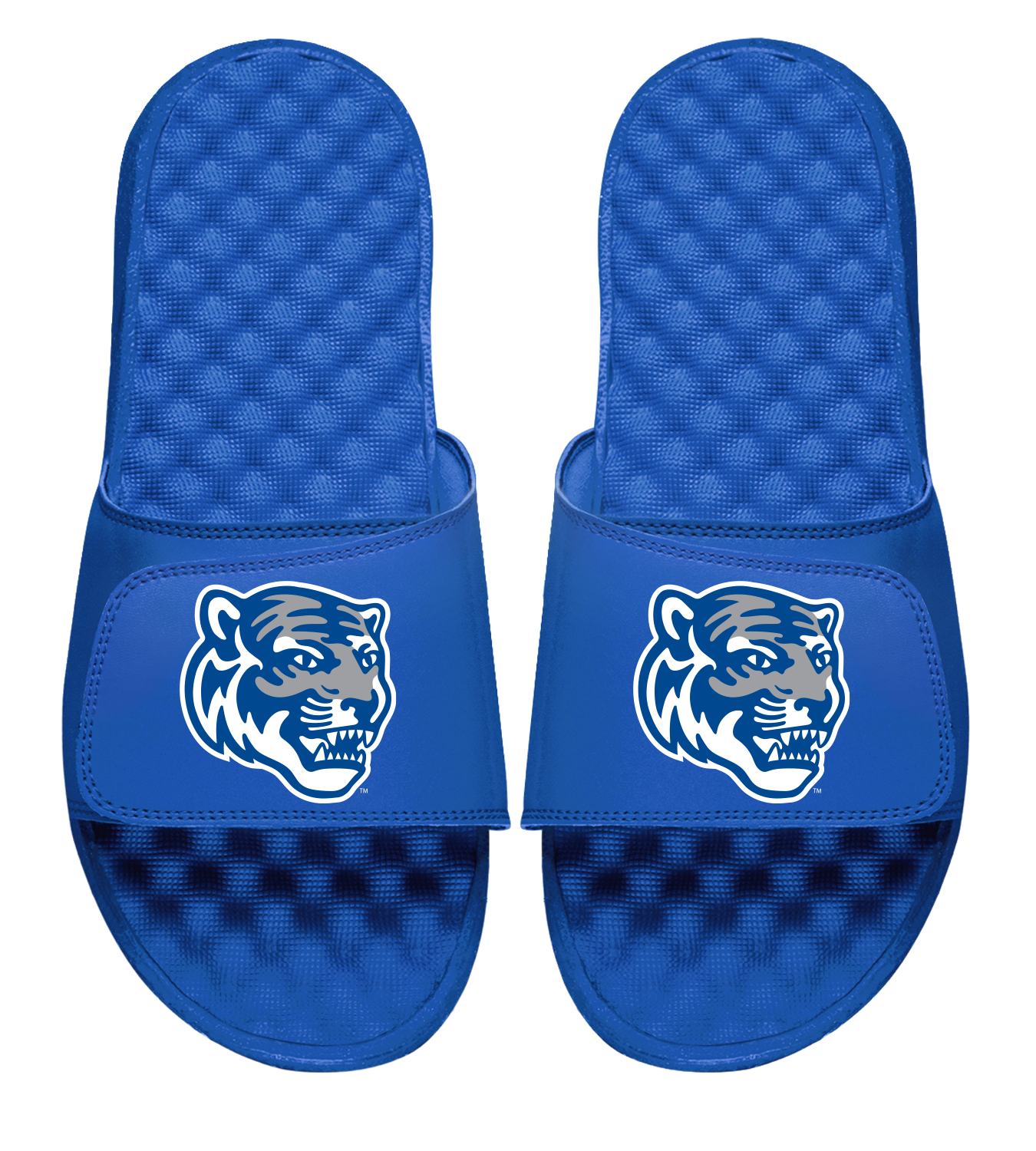 Memphis Tigers Mascot