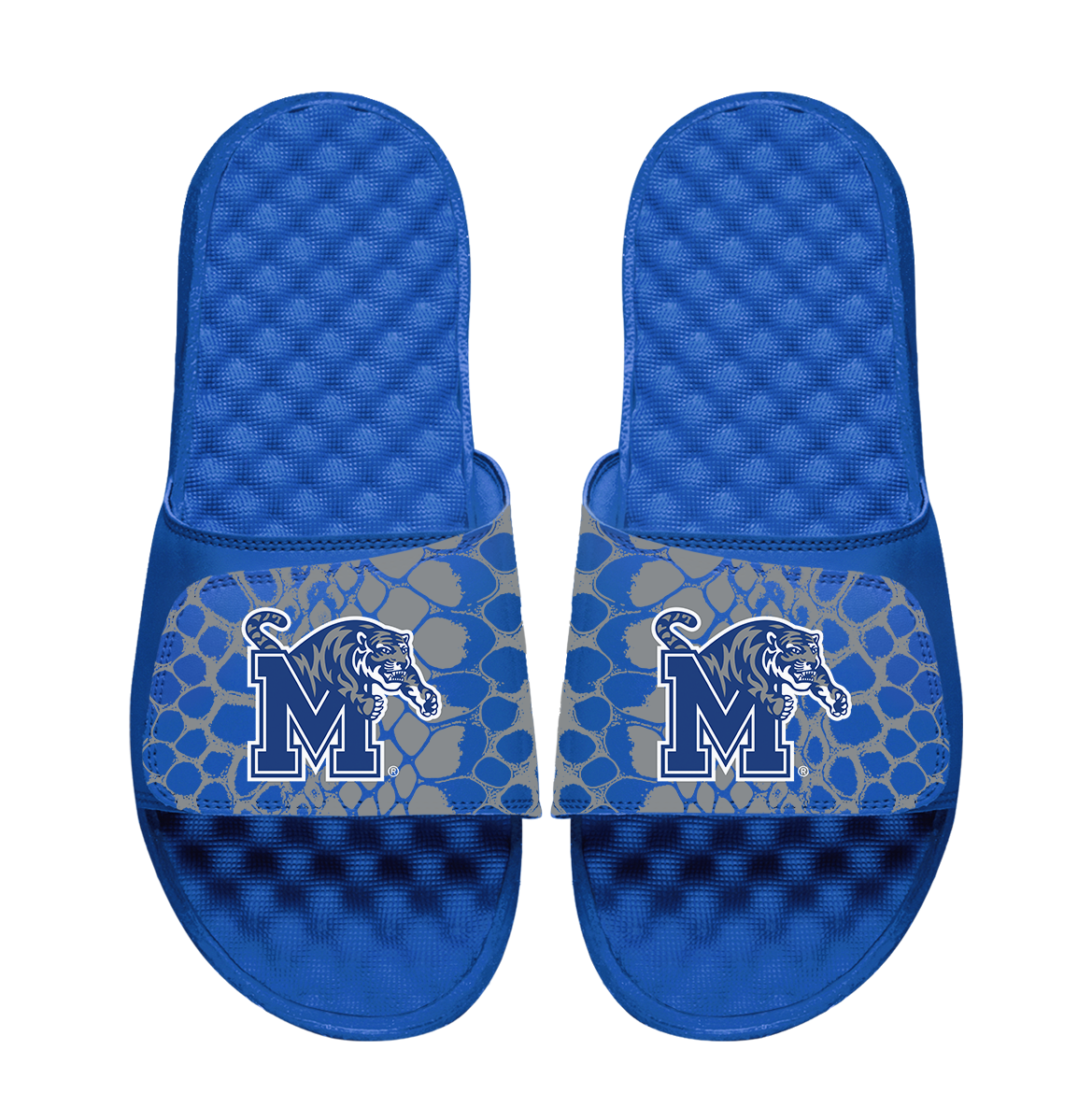 Memphis Tigers Year of the Snake