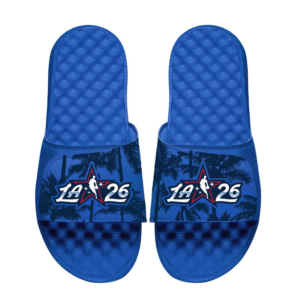 NBA 2026 All-Star Game Palm Trees