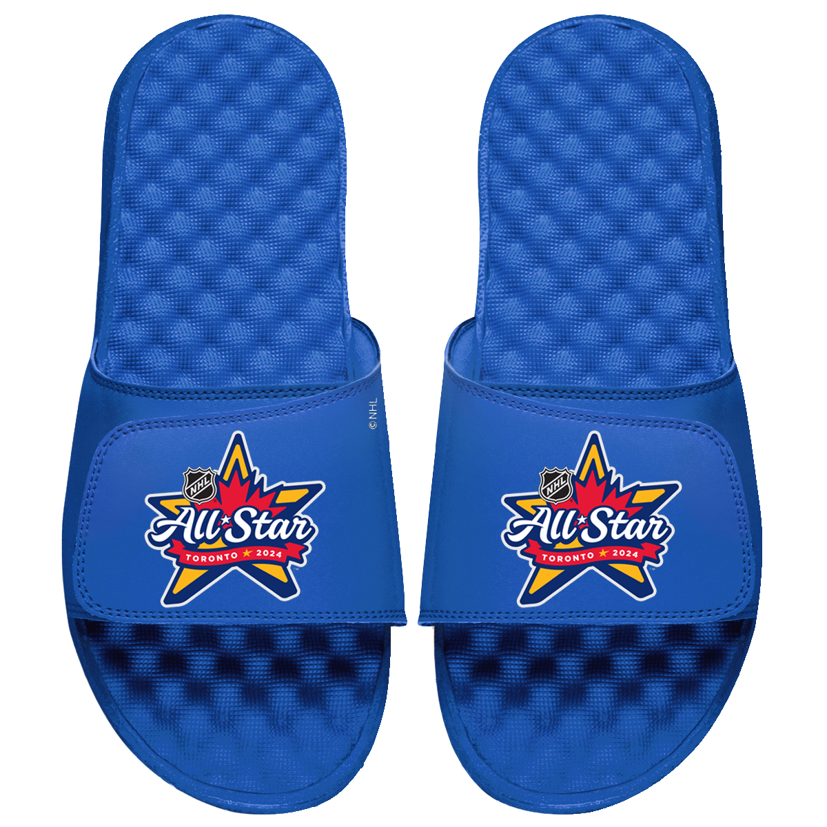 NHL 2024 All-Star Game Logo