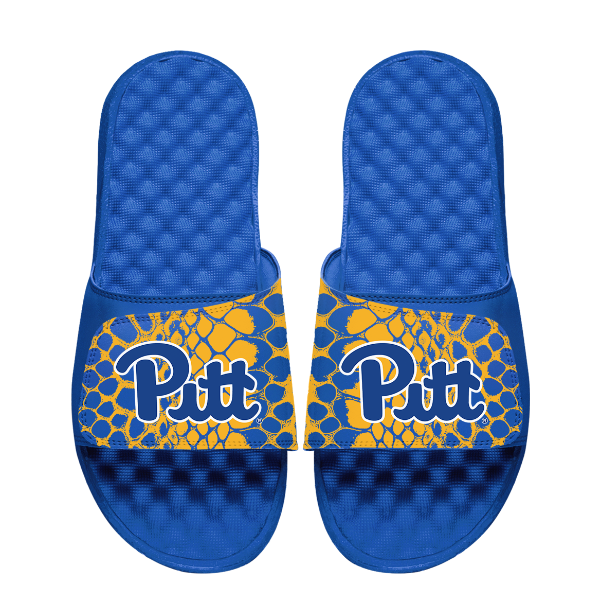 Pitt Panthers Year of the Snake
