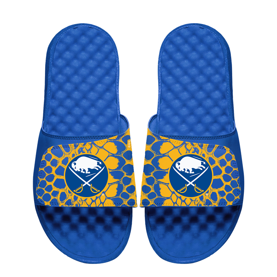 Sabres Year of the Snake