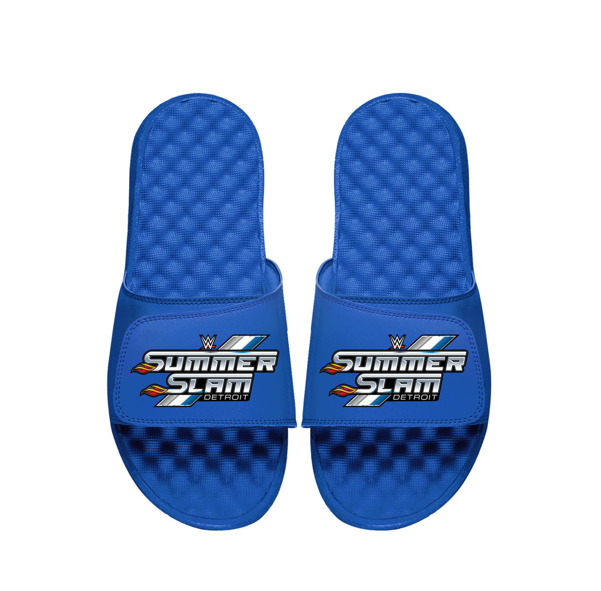 WWE Summer Slam Slides