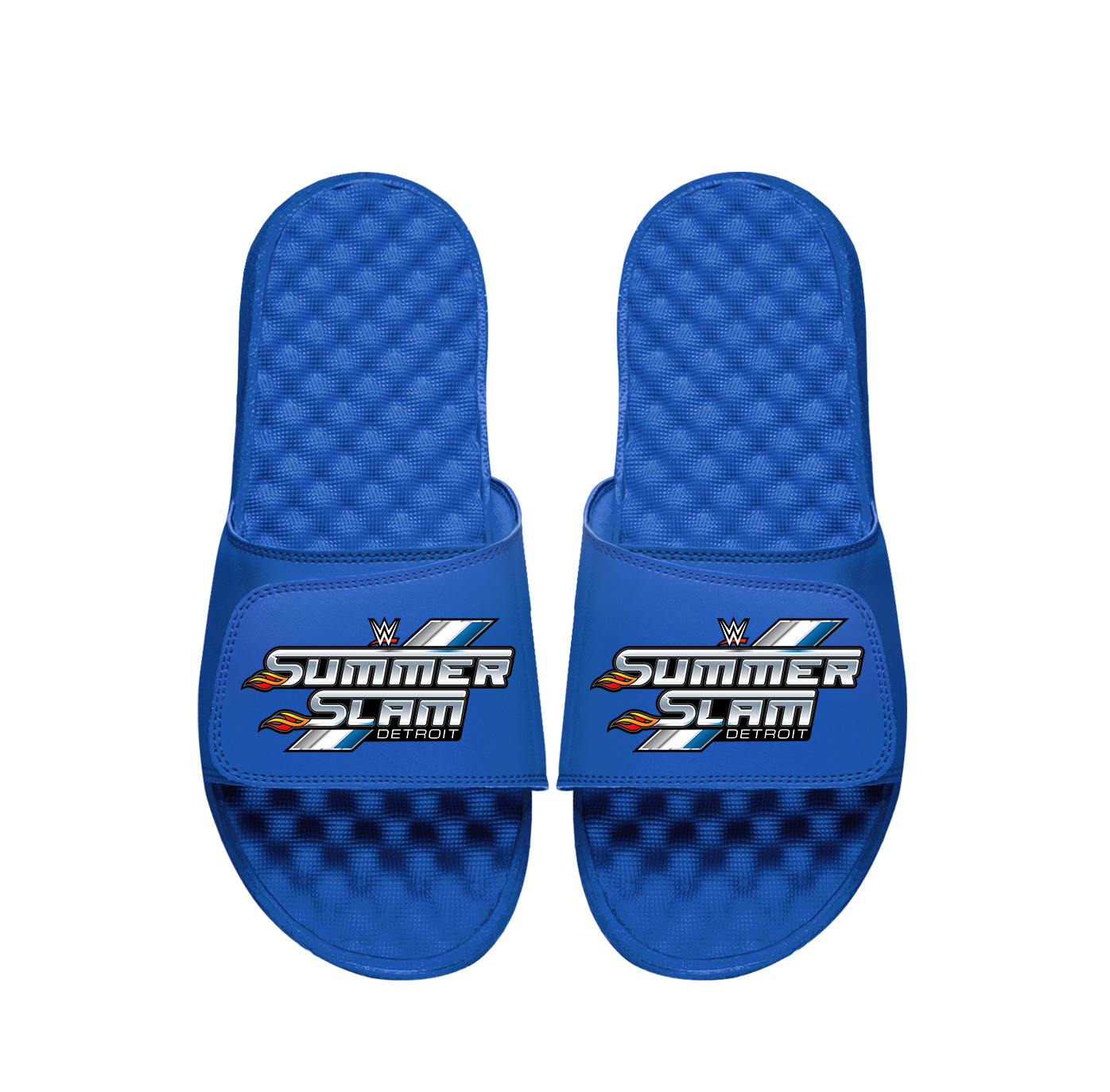 WWE Summer Slam Slides