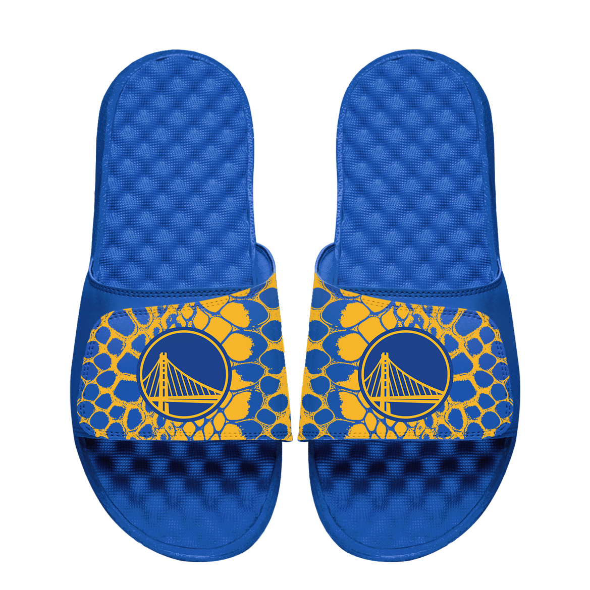 Golden State Warriors Year of the Snake