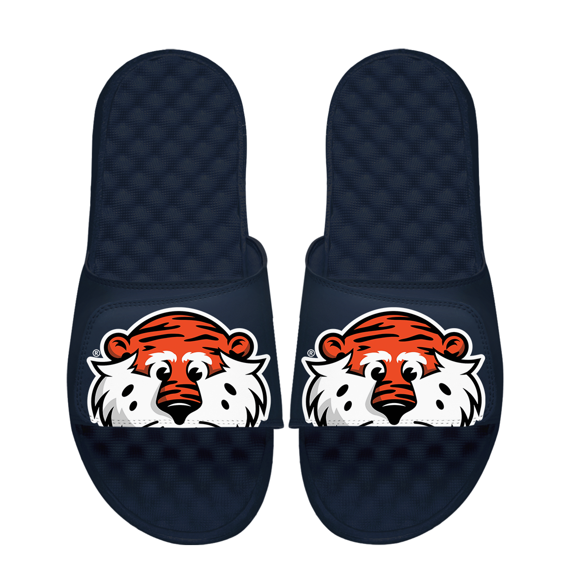 Auburn Tigers Mascot