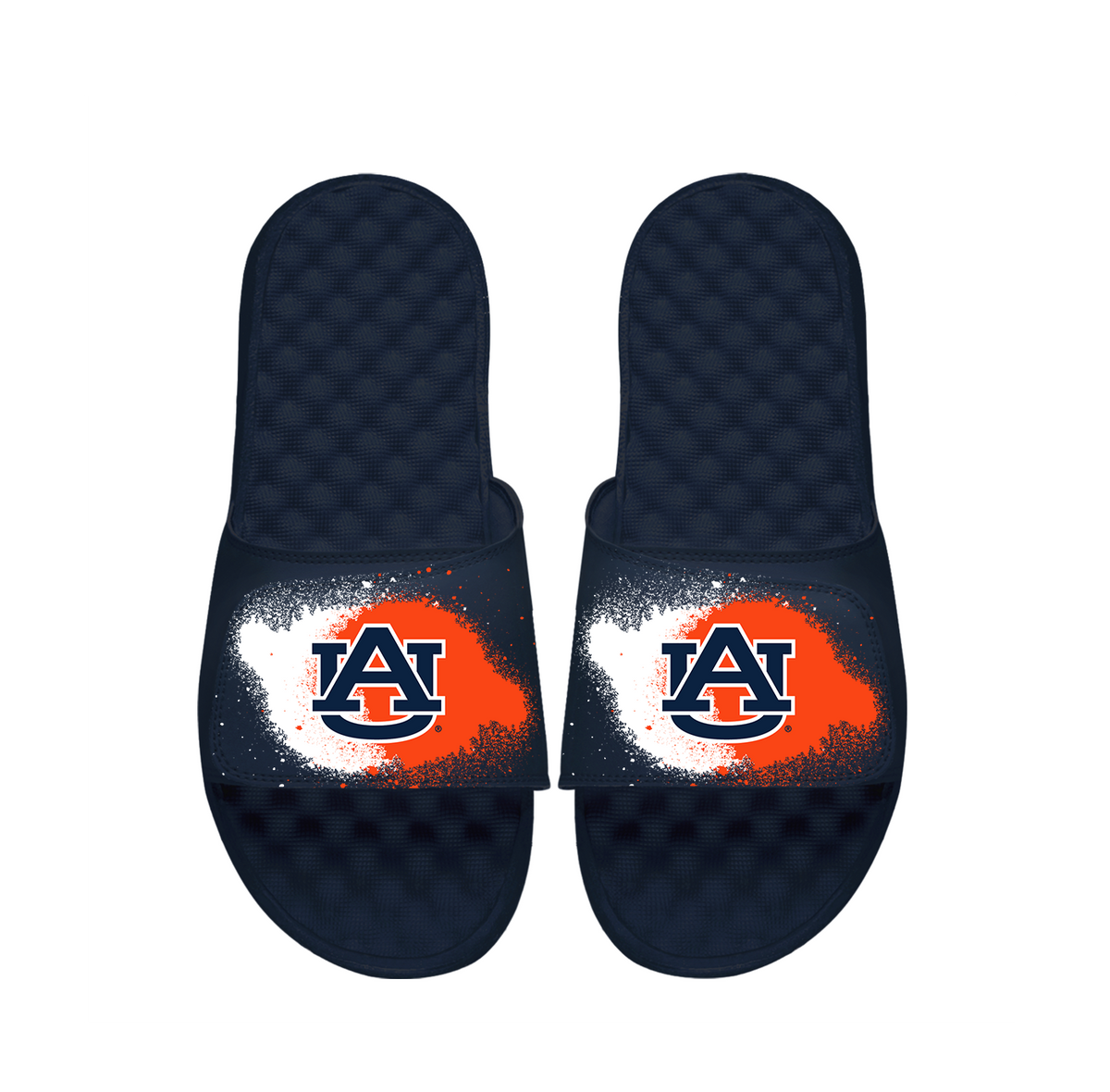 Auburn Spray Paint Slides
