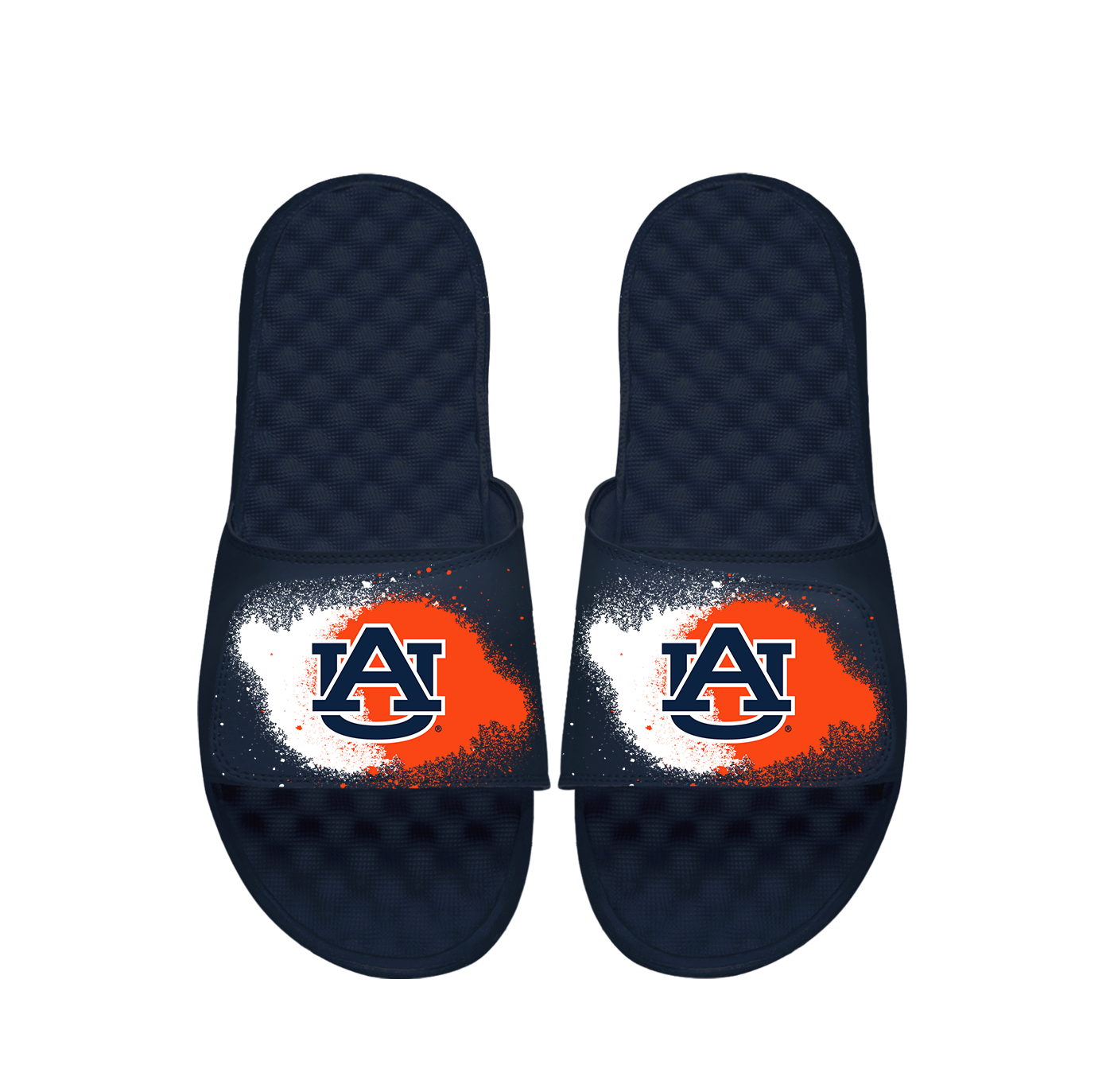 Auburn Spray Paint Slides