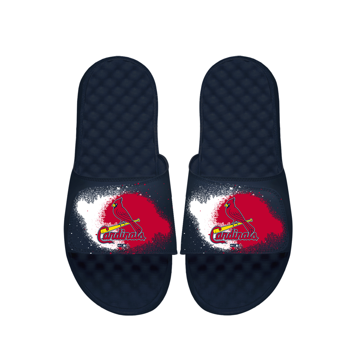 Cardinals Spray Paint Slides