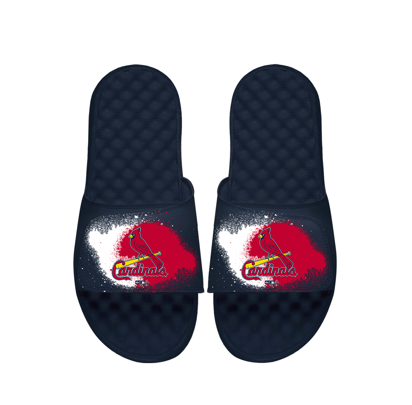 Cardinals Spray Paint Slides