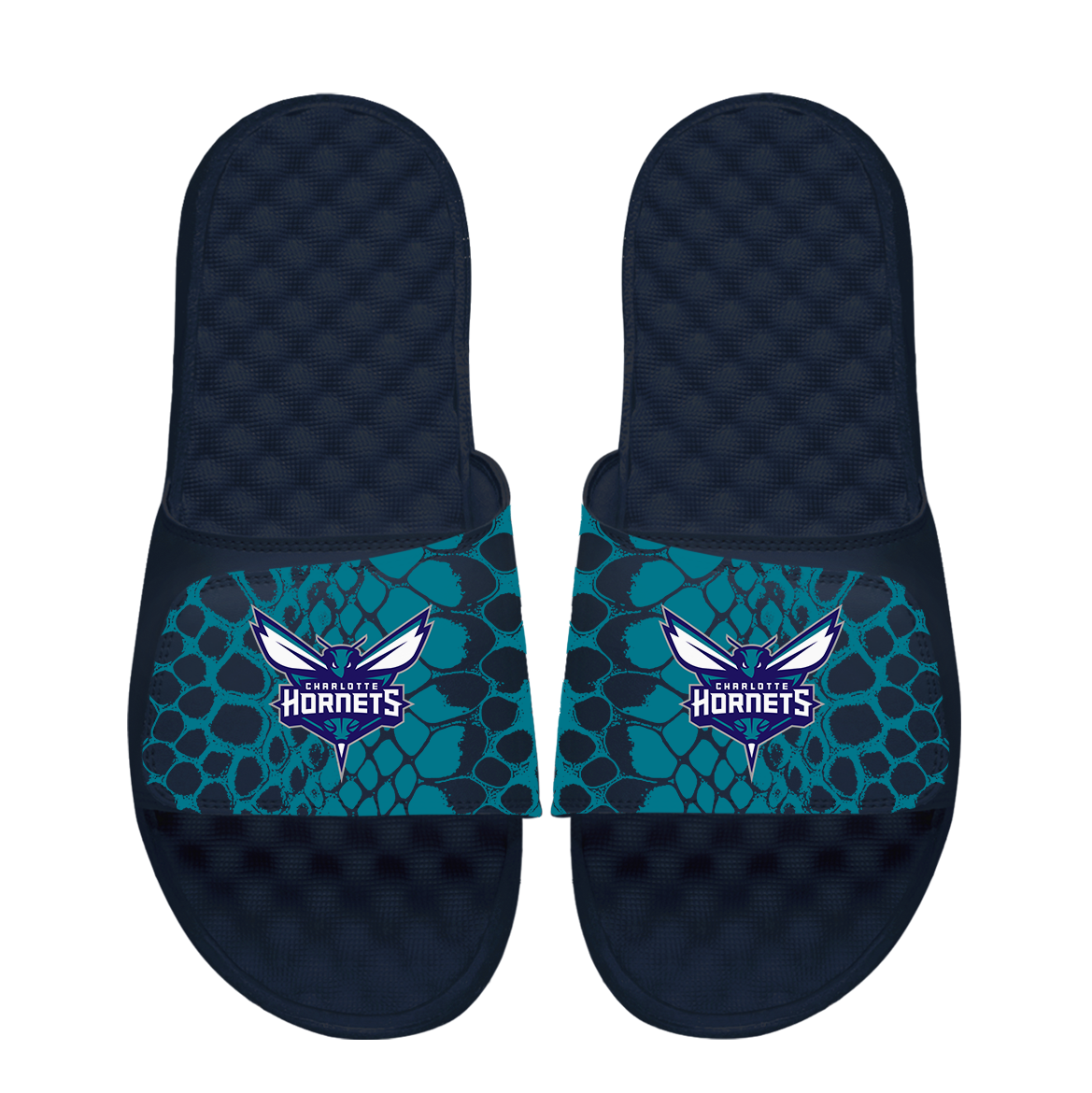 Charlotte Hornets Year of the Snake