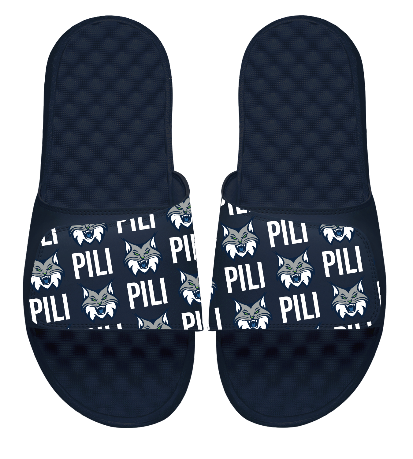 WNBPA Alissa Pili Pattern - ISlide