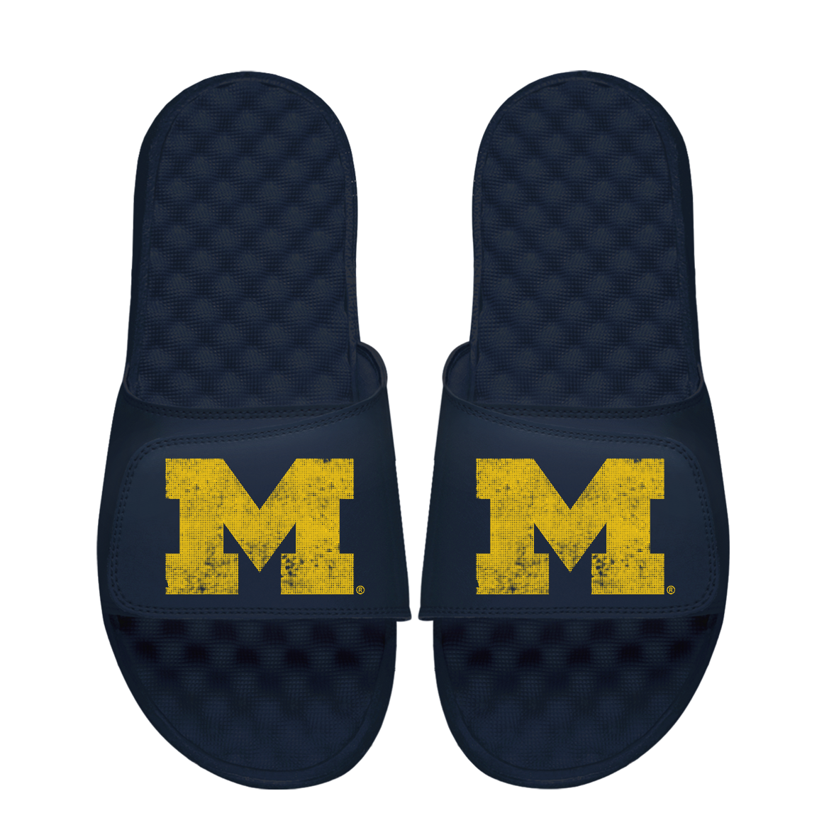 Michigan Wolverines Pixeled Distressed